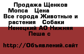 Продажа Щенков Мопса › Цена ­ 18 000 - Все города Животные и растения » Собаки   . Ненецкий АО,Нижняя Пеша с.